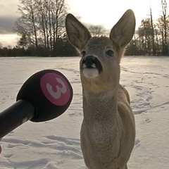 been a while so ummm here is this. FAAARRROUTTT IM ASSSSS