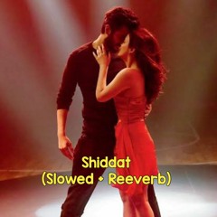 Shiddat Title Track (Slowed + Reeverb) | Lovexlofi
