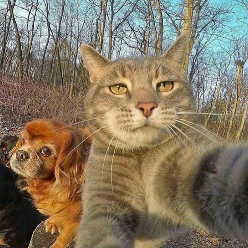 Lần Hẹn Hò Đầu Tiên - Huyền Tâm Môn Remix tiktok ver