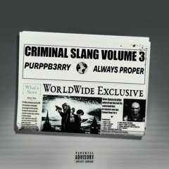 CRIMINAL SLANG 3