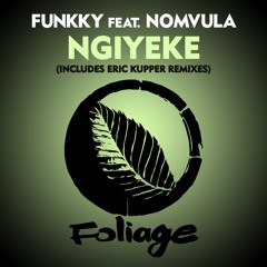 Funkky feat. Nomvula - Ngiyeke (Main Mix)