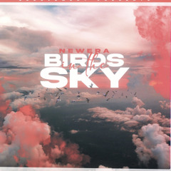 birds in the sky x protien bor