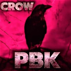 CROW - PLATTENBAUKIND