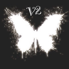 BUTTERFLY_EFFECT_V2