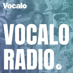 Vocalo Radio 91.1 FM Chicago Mixes