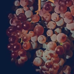 Unexpected error_Wine of love