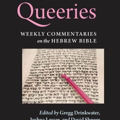 ⚡Read✔[PDF]  Torah Queeries: Weekly Commentaries on the Hebrew Bible