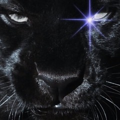 Gotta Goo By Tyree Buckley