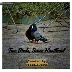 Two Birds, Seven Havilland