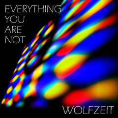 Everything You Are Not [Free Download]