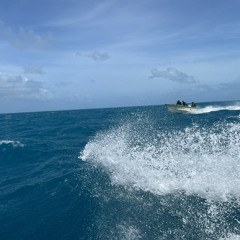 Anslom - I Will Love You.mp3