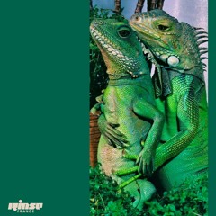 Basic - 10 Juin 2021