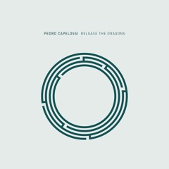 Pedro Capelossi - The Story Of Us (Original Mix)