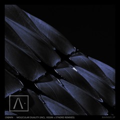 Premiere: Crøwn "Impulsive Decomposition" - BAHN· [/\·]
