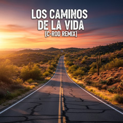 Los Caminos de la Vida (Club Remix)
