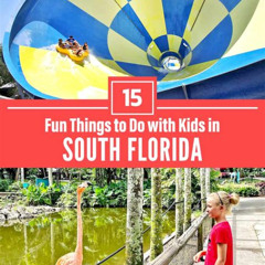 Best Things To Do In South Florida Tours Review
