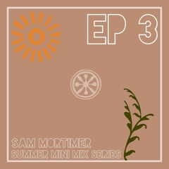 SMMS - EP3
