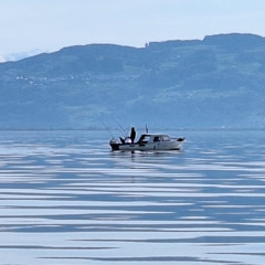 Remix Dariusch der Hecht Zander Killer (1)