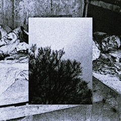 Hear$e X NOOSENSE - FACE$ OF DEATH