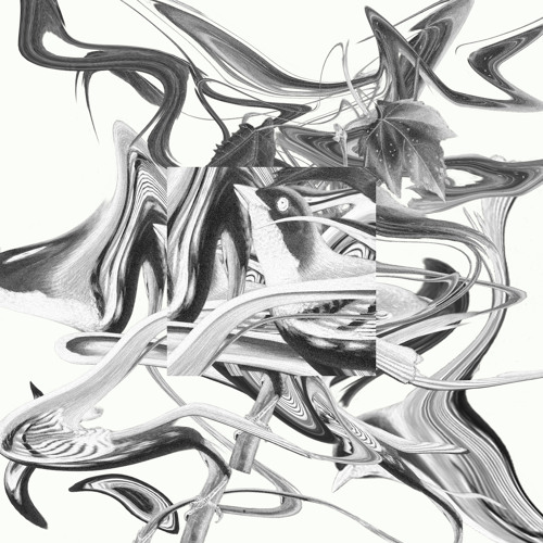 Heads Above (Album Version)