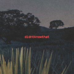 didntknowthat (improved)