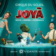 Best Cirque Du Soleil Joy Admission Tickets Tours Review