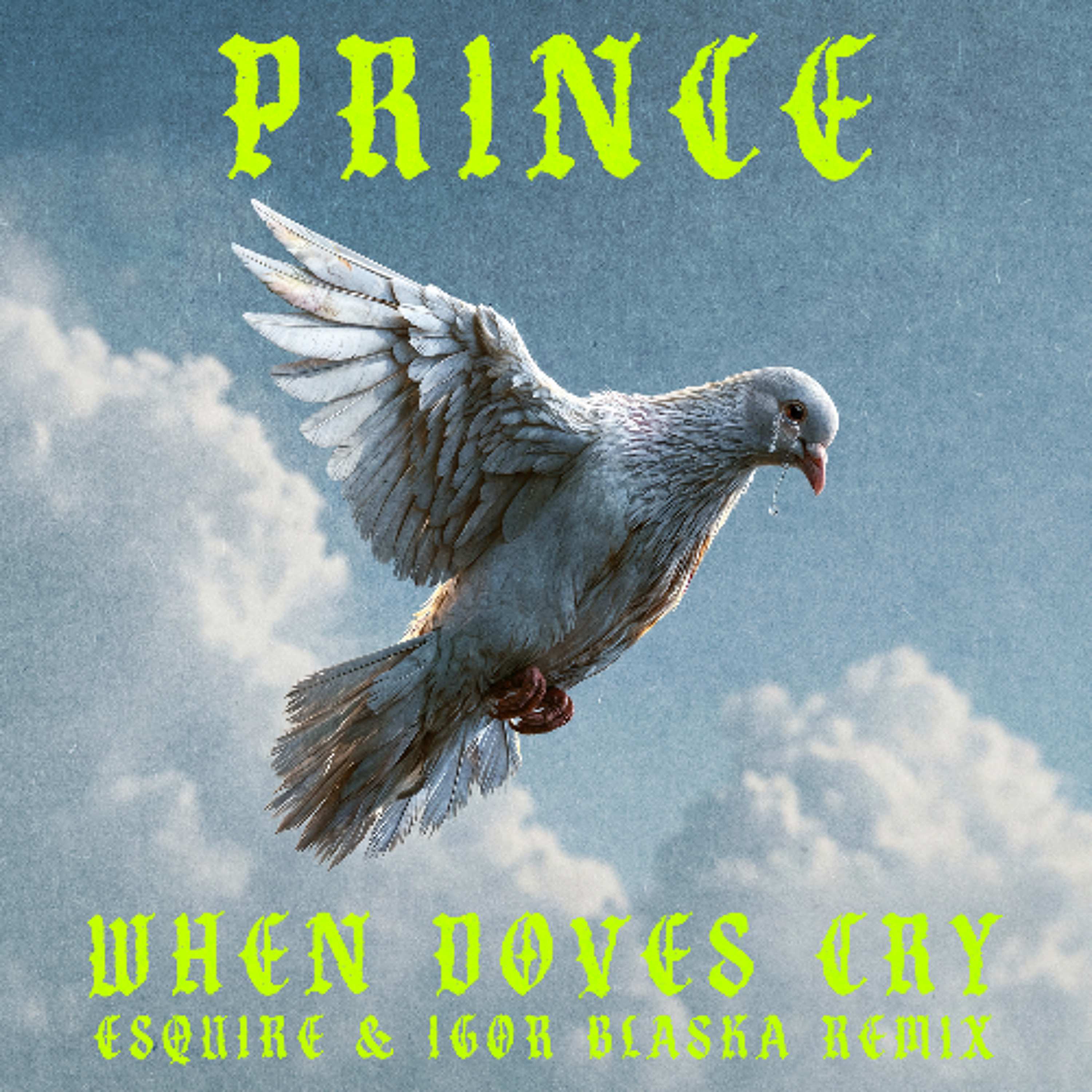 Prince - When Doves Cry (eSQUIRE & Igor Blaska Remix) episode artwork