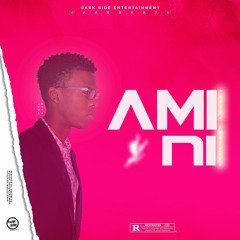 DAY - AMINI