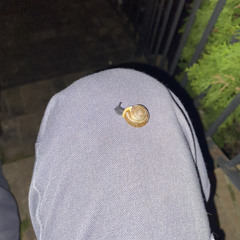 angeles - elliott smith cover