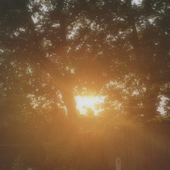 october sky x YEBBA (cover)