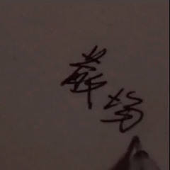 DJ REALISM 慢摇 x 摇头 v2