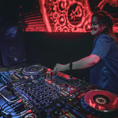 Anemix BizBat Contest House