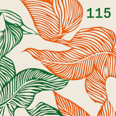 Monaberry Podberry 115 – Yamil