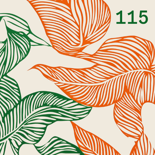 Monaberry Podberry 115 – Yamil
