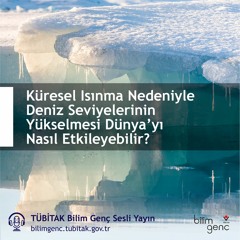 34- Küresel Isınma Nedeniyle Deniz Seviyelerinin Yükselmesi Dünya’yı Nasıl Etkileyebilir?