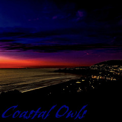 Coastal Owls