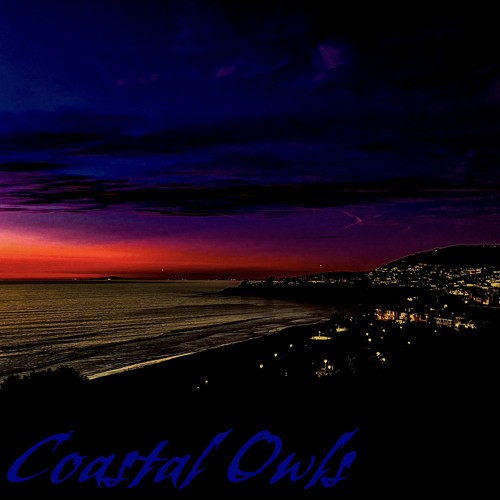 Coastal Owls