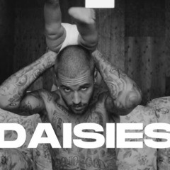 DAISIES