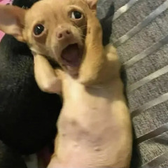 Mohican Will Resurection - DJ TuSo remix