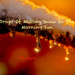 Drops Of Melting Snow In The Morning Sun
