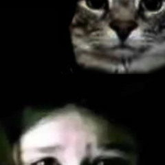 холостой бродяга mylancore