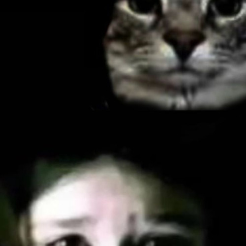 холостой бродяга mylancore