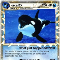 Orca(Prod.Siem Spark)