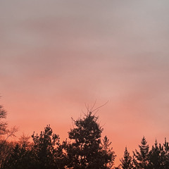 Fire on the leaves