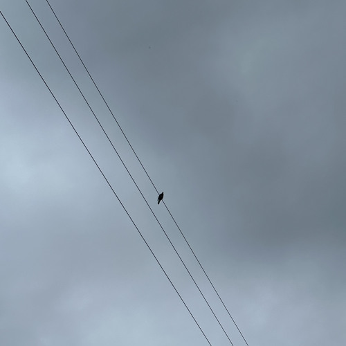 Alexey Arkhipovsky - Cinderella