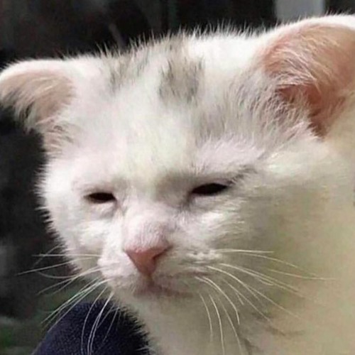 PRŪN - set002 - hardtrance