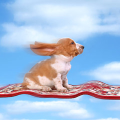 Magic Carpet Ride - Speed Garage Remix [FREE DL]