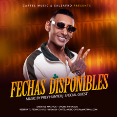 PACK FREE 2026 | PREY HUNTER | (SALSAFRO) 🐸🦍