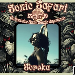 Soroka - On the Road to Sonic Safari Mix Series