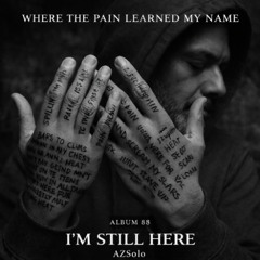 I Lied When I Said I Was Fine